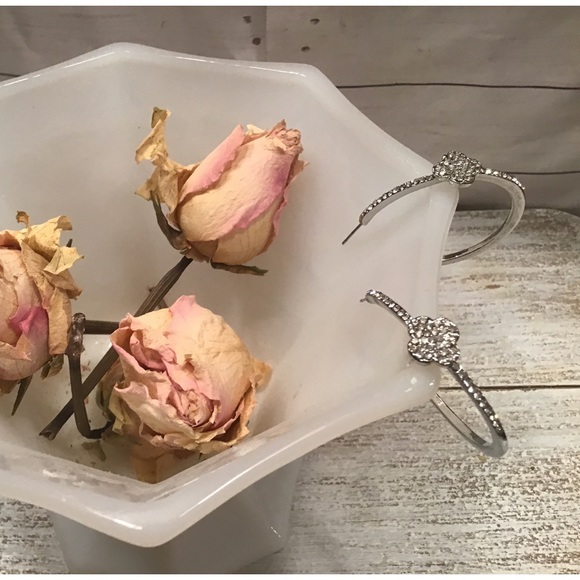 Clover Hoops - Picture 2 of 4